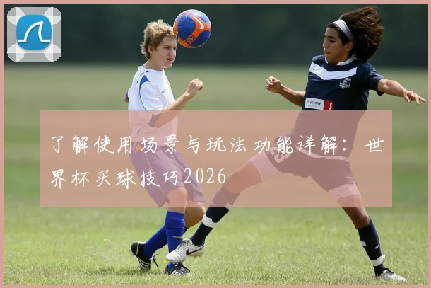 了解使用场景与玩法功能详解：世界杯买球技巧2026