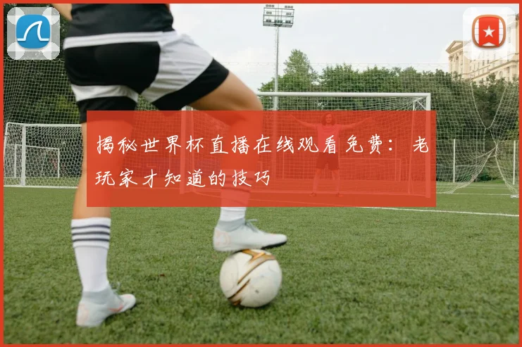 揭秘世界杯直播在线观看免费：老玩家才知道的技巧