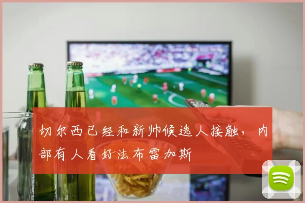 切尔西已经和新帅候选人接触，内部有人看好法布雷加斯